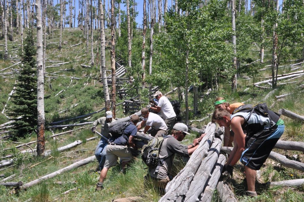 Fence Building